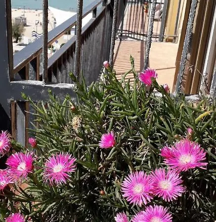 Sweet Carola Apartman Bari