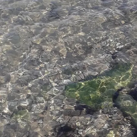 Sweet Carola Apartman